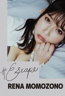 Momozono Reina (Foto)(Escape) (98P)