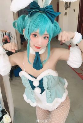 Hatsune Miku miku conejita@Youyou(9P)