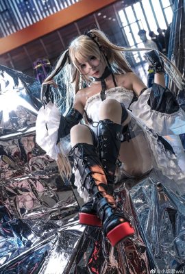 Dead or Alive Mary Rose @特素儿Sona (Fotografía: @小坂君ww) (Carnaval del juego de animación Firefly) (9P)