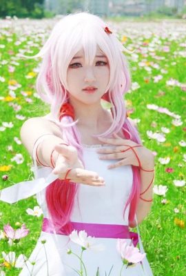 Xia Ningning-Guilty Crown COS Colas de caballo dobles y tres vueltas rezando al mar de flores