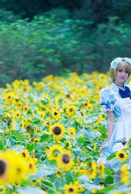 Shimada Oguma-LOVE LVE!COS Koizumi Hanayo