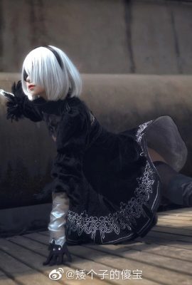 NieR: Autómatas 2B @小小少宝(9P)