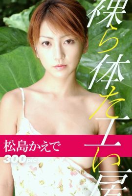 Kaede Matsushima (Fotolibro) Taller de cuerpo desnudo (205P)